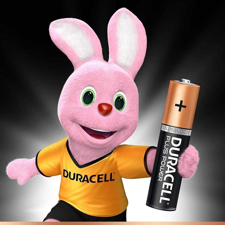 Actual product image Duracell Plus (4 pcs., AAA, 1175 mAh)