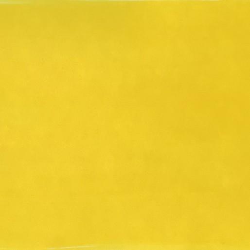 Immagine prodotto Pebeo Inchiostro ad acqua Colorex (Giallo primario, 250 ml)