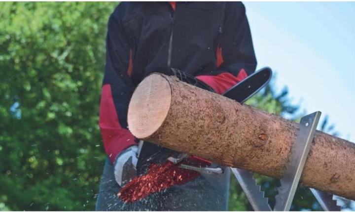 Produktbild Einhell GC-PC 2040 I (Benzin Kettensäge)
