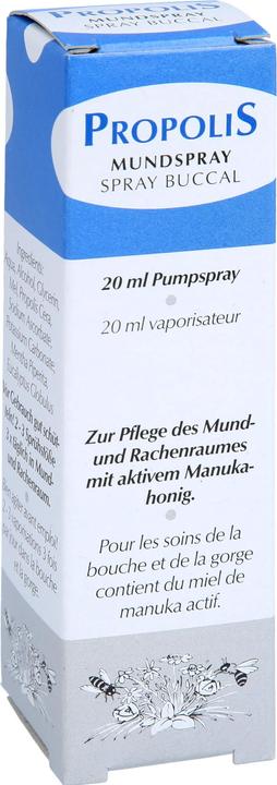 Produktbild Remmele Mundspray mit aktiven Manukahonig (20 ml, Mundspray)