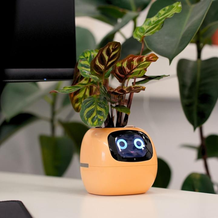 Produktbild Hermex Elektronischer Blumentopf Smarter Blumentopf (11 cm)
