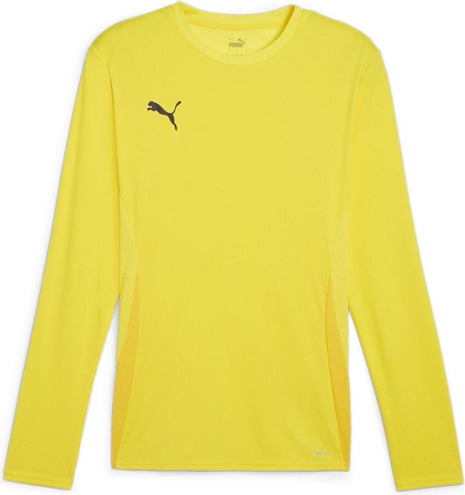 Puma TeamGoal