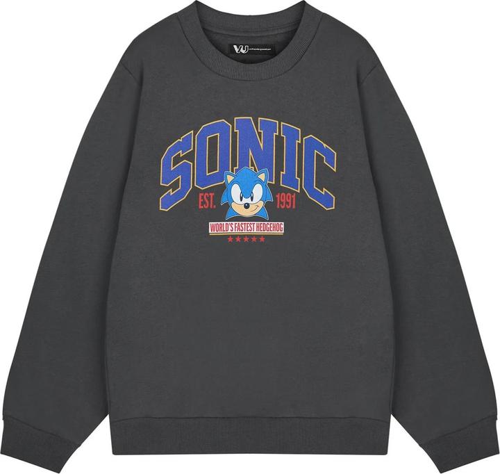 Actual product image Sonic The Hedgehog Mens World's Fastest Sweatshirt (L)