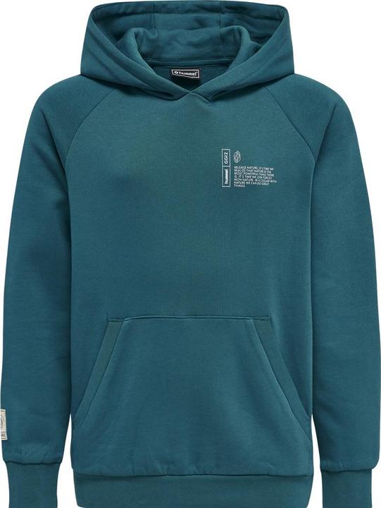 Actual product image hummel Gg12 Sweat Hoodie Kids (140)