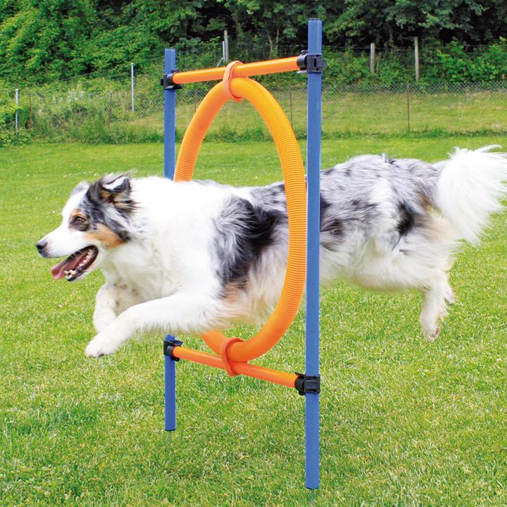 Image du produit Swisspet Anneau de saut (Taille unique, Agility)