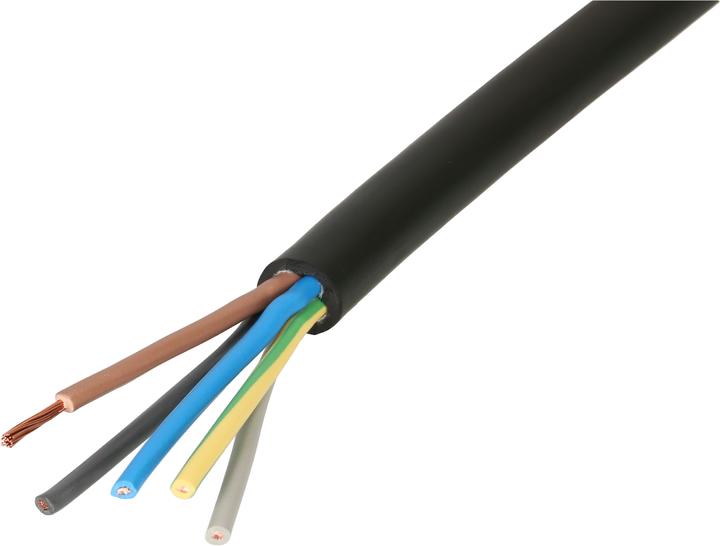 Max Hauri Câble GDV H07RN-F (10 m)