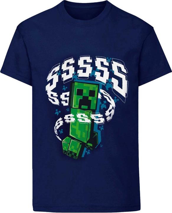 Actual product image Minecraft Tshirt (116)