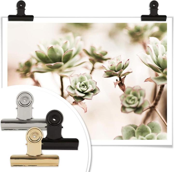 Immagine prodotto Trenddeko Piccole piante grasse (80 x 60 cm)