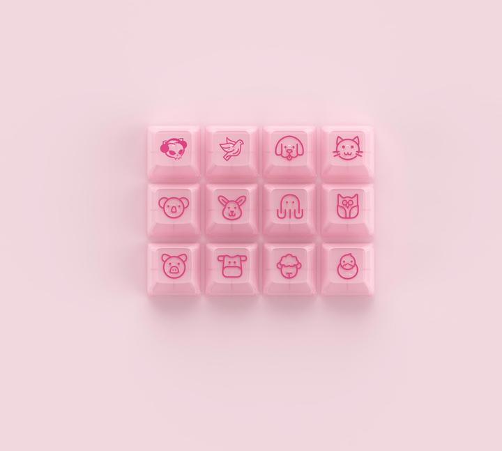 Image du produit Akko Asa