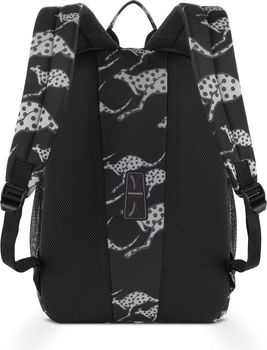 Actual product image Chiemsee Sac à bandoulière (15 l)