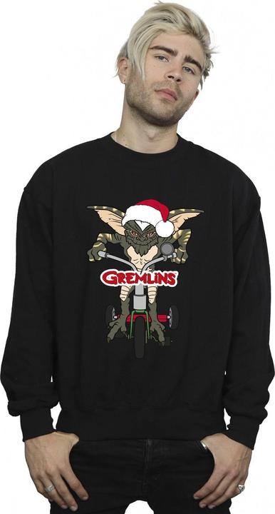 Actual product image Universal Textiles Mens Bike Logo Sweatshirt (M)