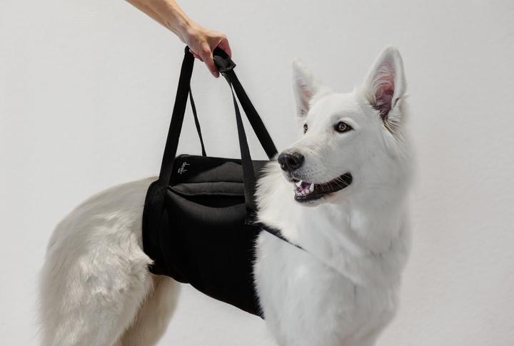 Produktbild Deek Pets Tragegurt "Walker" für Hunde (Hund)