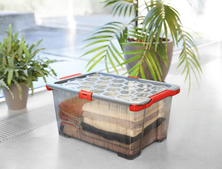 Produktbild Rotho Evo Total (39.5 x 28.5 x 23 cm, 15 l)