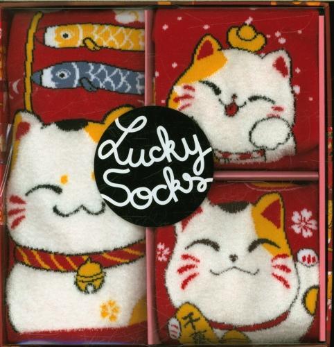 Produktbild Les goûters de la famille chaussettes chat maneki (Französisch, Collectif, 2024)