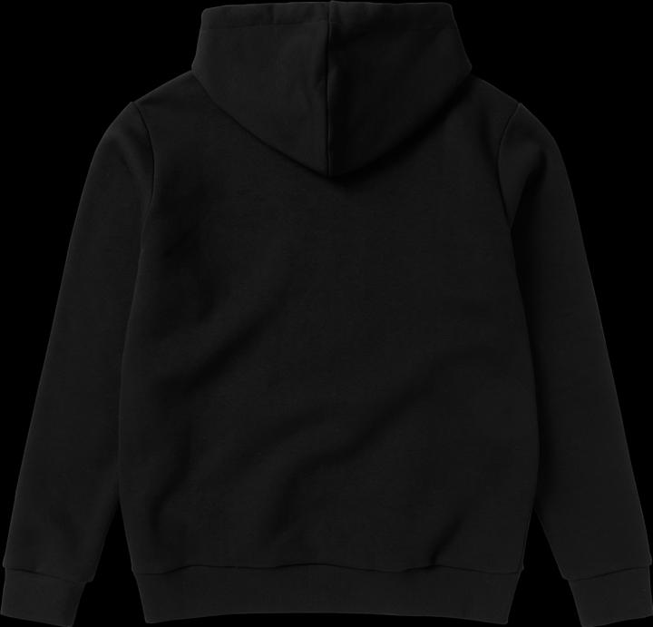 Actual product image Mystic Icon Hood Sweat (L)