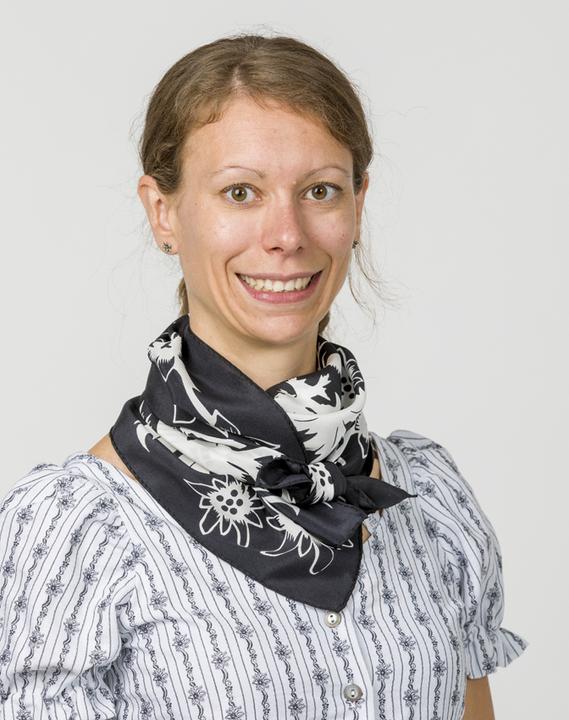Jenni Hemden Seidenfoulard Scherenschnitt
