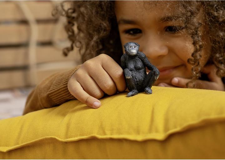 Actual product image Schleich Bonobo female