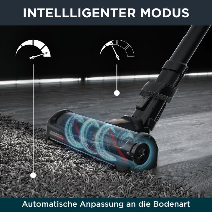 Actual product image Rowenta X-Force 15.60