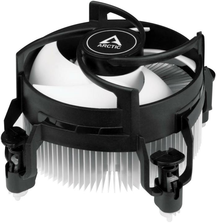 Arctic Alpine 17 (77 mm)