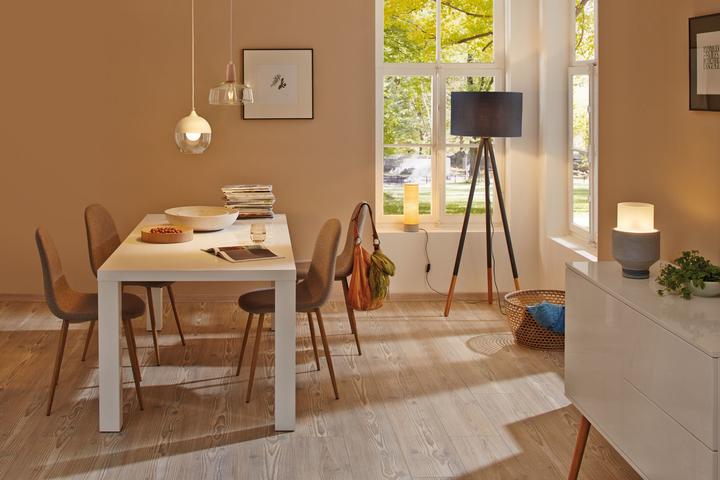 Produktbild Paulmann Allgebrauchslampe (E27, 13 W, 1521 lm, 1 x, E)