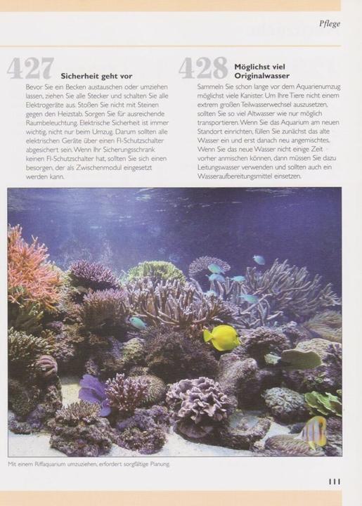 Produktbild 500 Tipps und Tricks zur Meerwasseraquaristik (Deutsch, Dave Garratt, Tristan Lougher, Tim Hayes, Dick Mills, 2007)
