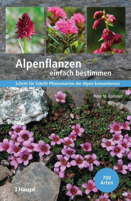Produktbild Alpenpflanzen einfach bestimmen (Deutsch, Peter M. Kammer, 2021)