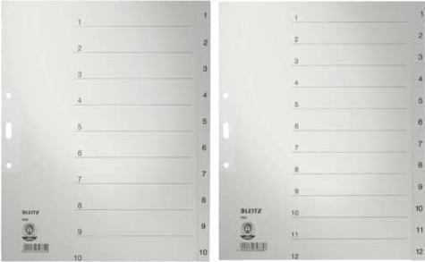 Actual product image Leitz Register paper