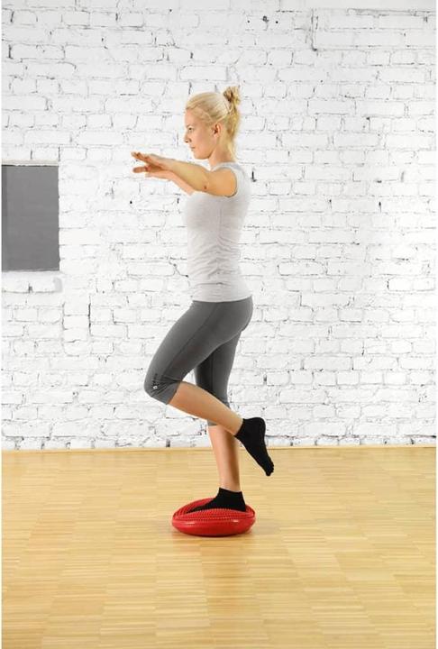 Actual product image Sissel Balancefit