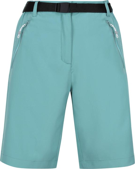 Actual product image Regatta Womens/Ladies Xert Stretch Shorts (36)