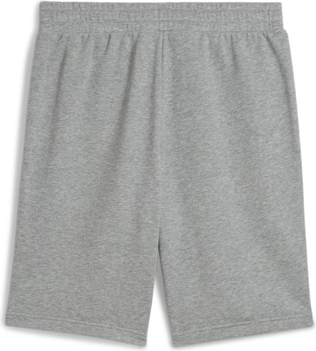Actual product image Puma ESS No. 1 Logo Shorts 10" (XXL)
