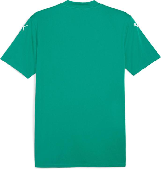 Image du produit Puma teamGLORY Jersey (S)
