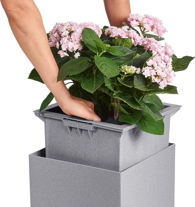 Image du produit Lechuza Canto Stone (40 cm)