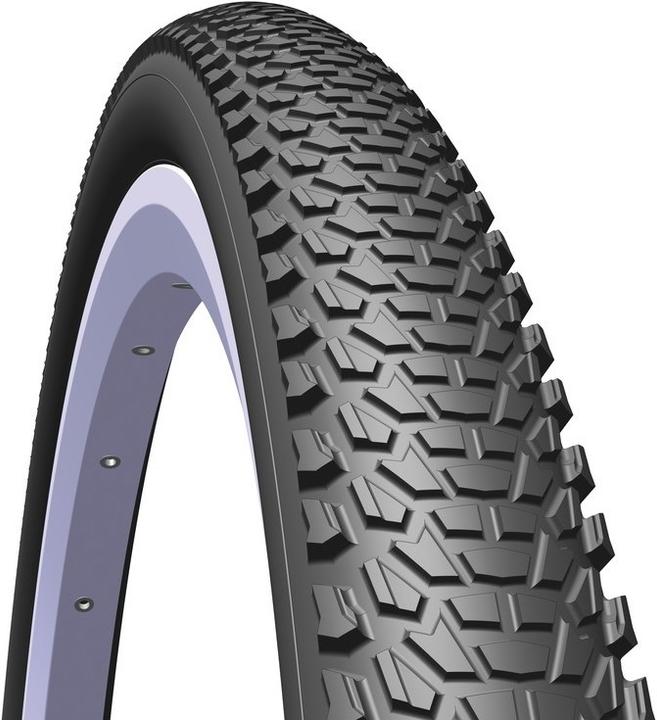 Actual product image Rubena Cheetah R15 Classic 22 (54-559)