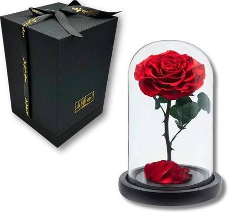 Produktbild La Belle Rose Infinity Dome echte Rose im Glas (1 -teilig)