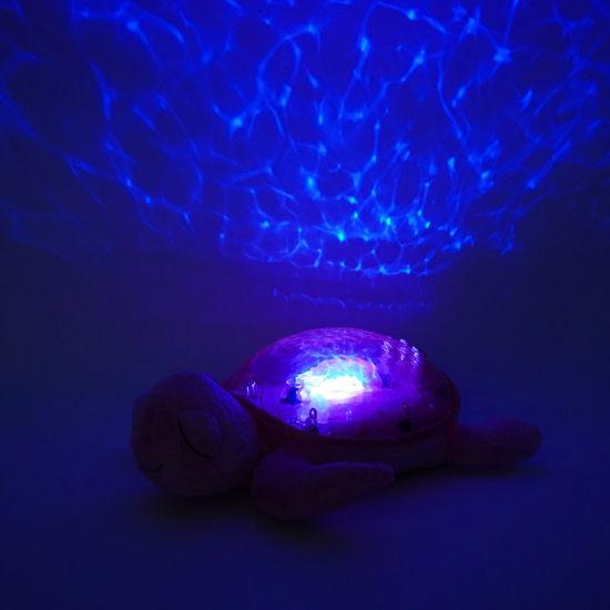 Actual product image Cloud B Turtle