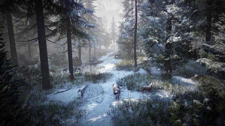 Immagine prodotto Pearl Abyss Black Desert: Edizione di prestigio (PS4, DE)