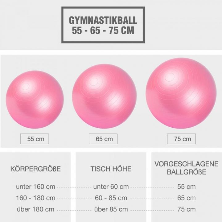 Actual product image Gorilla Sports Exercise ball 355 (65 cm)