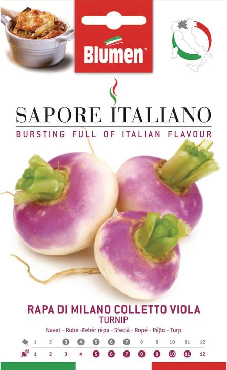 Immagine prodotto Blumen Rapa di Milano Colletto Viola (Semi di verdura)
