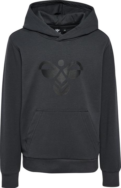 Actual product image hummel hmlCUATRO HOODIE (116)
