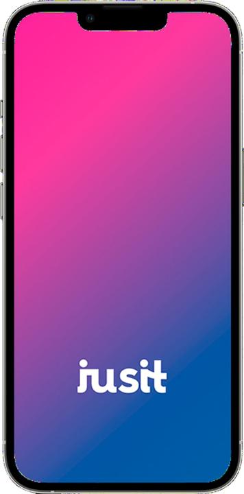 Actual product image jusit iPhone 13 Pro (256 GB, Silver, 6.10", 0.00 Mpx, B / Very good)