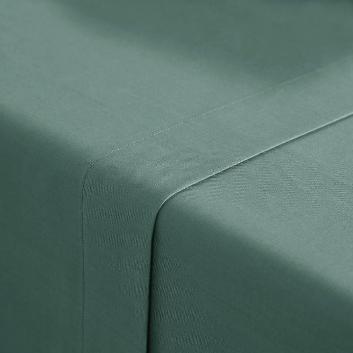 Actual product image La Redoute Interieurs Scenario Coton (270 x 290 cm)