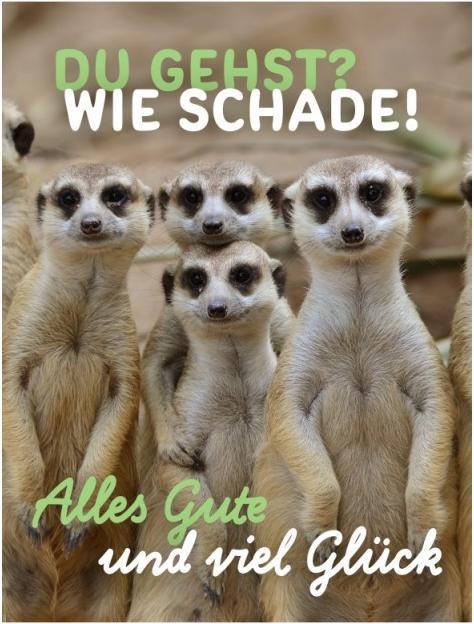 Produktbild Taurus Kunstkarten Abschiedskarte Erdmännchen - Maxi Card A4 (1 Stk.)