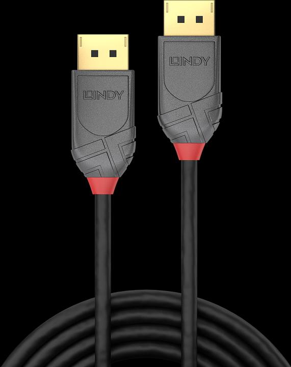 Image du produit Lindy DisplayPort — DisplayPort (2 m, DisplayPort)