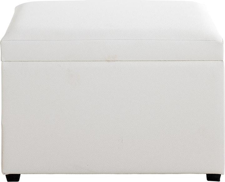 Immagine prodotto HAKU Möbel Cassapanca (58 cm)