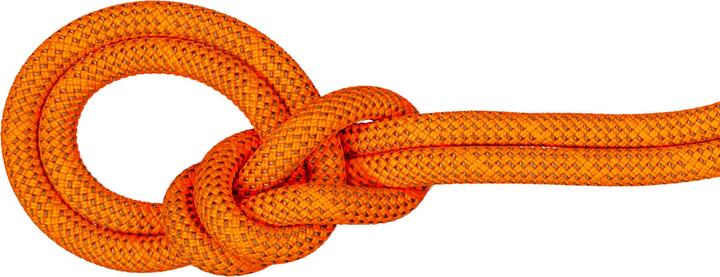 Mammut 9.8 Crag Dry Rope 70m (70 m)