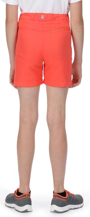 Produktbild Regatta Sorcer II Shorts (128)