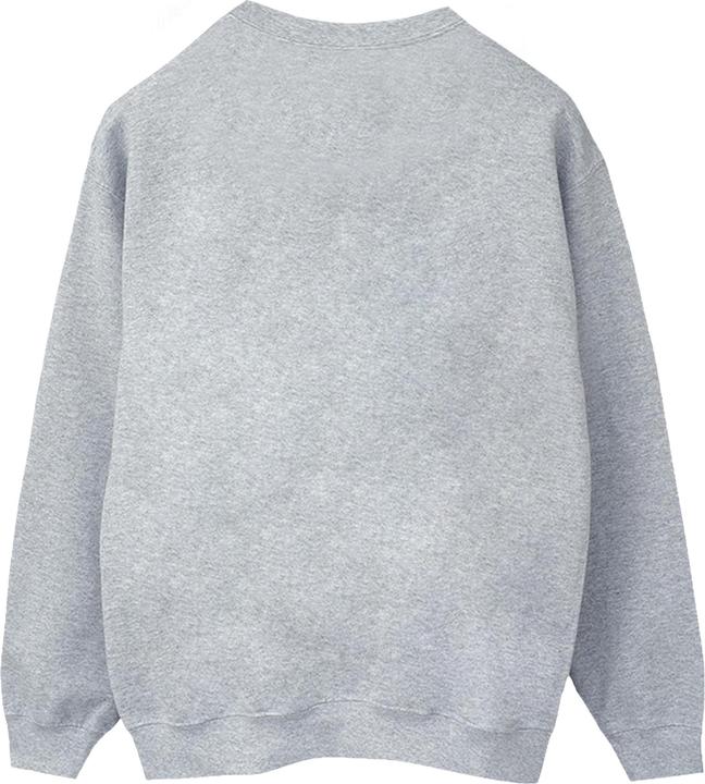 Produktbild Spidey And His Amazing Friends Circle Sweatshirt (4XL)