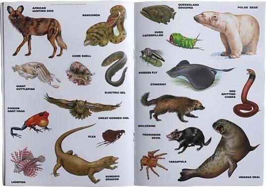 Actual product image Generic Deadly Creatures Reusable Stickers (Pack of 20)