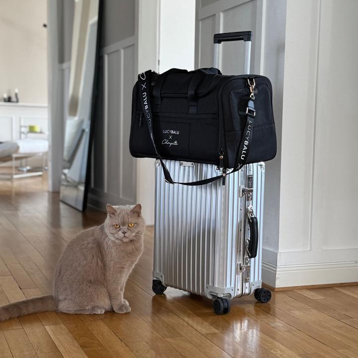 Actual product image LucyBalu CHECK-IN Katzentransporttasche | Choupette Edition (Cat, Washable)