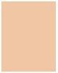 Actual product image Maybelline New York Superstay/Everfresh (20 Sand)
